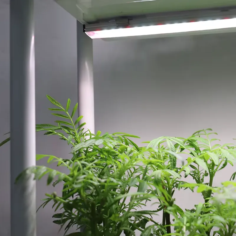 移動式垂直型3段自動給水スマートガーデンプランターボックスス - Self-Watering Planter のレビューと価格
