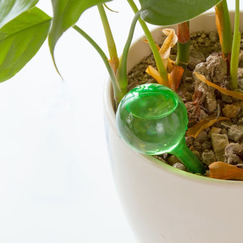 プラスチック製の自動植物散水装置,屋内および屋外の花の水缶, - Automatic Plant Waterer のレビューと価格