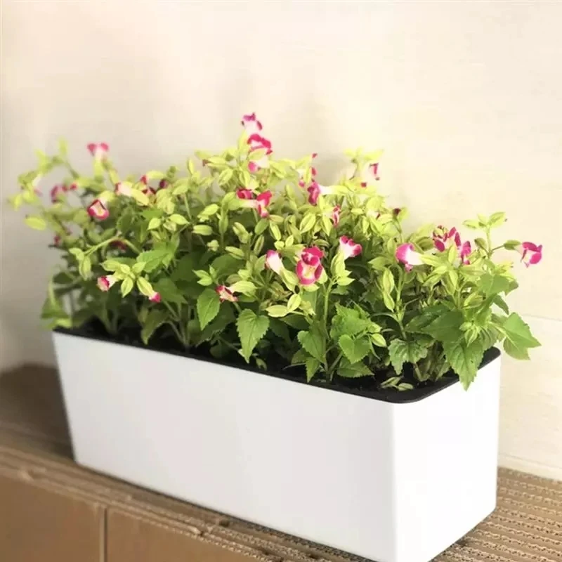 長方形怠惰な植木鉢鉢植え水耕プラスチック植木鉢 + 水位イン - Automatic Plant Waterer のレビューと価格