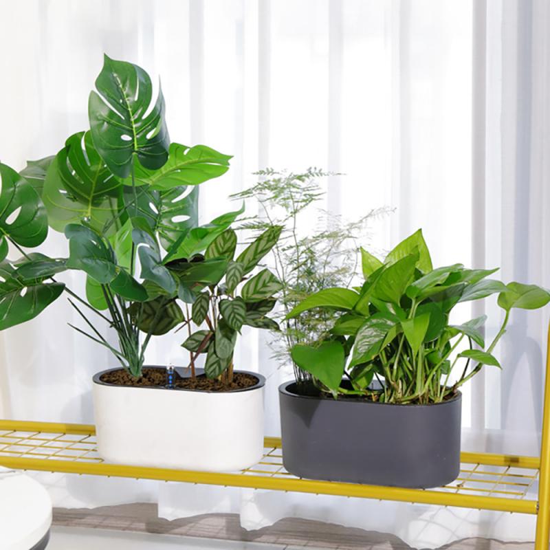 インジケーター付き屋内植物,木の脚,花,容器,滑り止め,通気 - Automatic Plant Waterer のレビューと価格