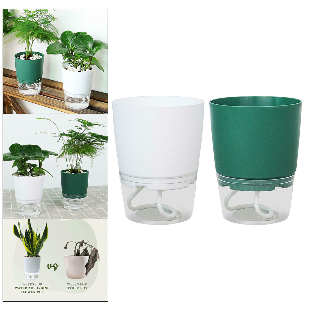 水の形をした野菜の植木鉢,水族館の自動吸収,透明な二重層,プ - Automatic Plant Waterer のレビューと価格