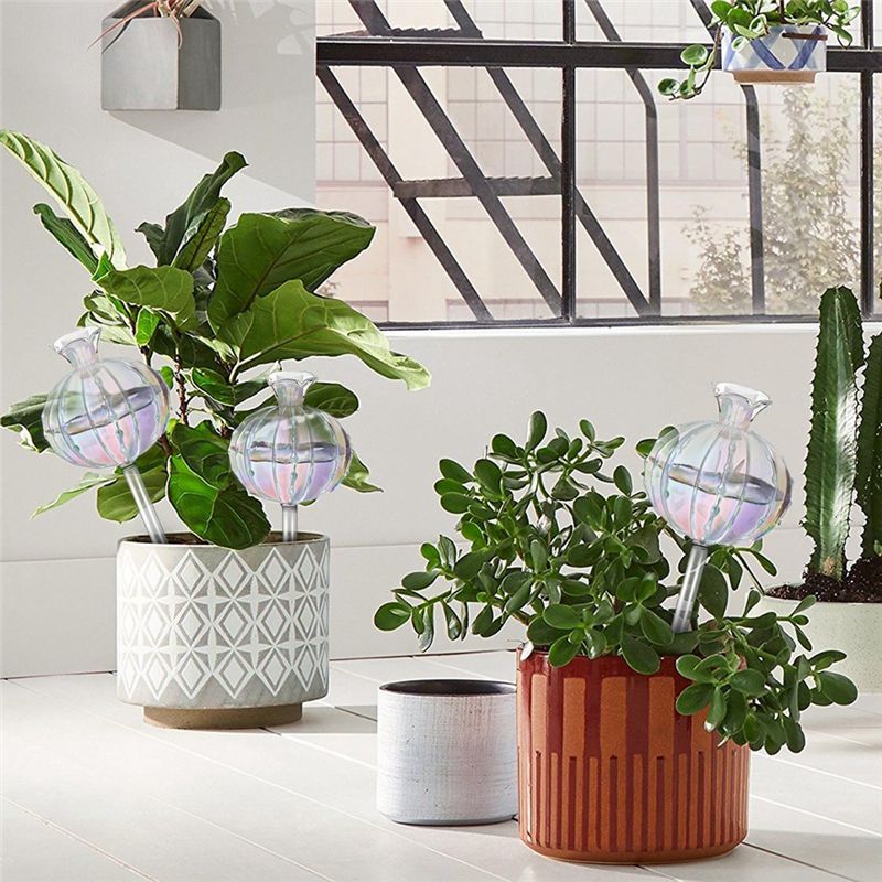 AA94-植物用自動給水球、ガラス製サボテン用自動給水プラン - Self-Watering Planter のレビューと価格